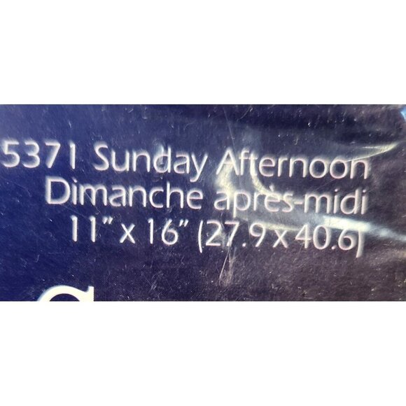 Hometown Counted Cross Stitch Kit 11" X 16" By Designs For The Needle Includes N - Picture 4 of 7